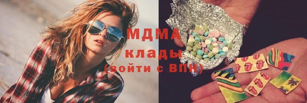 индика Лабытнанги