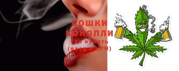 индика Лабытнанги