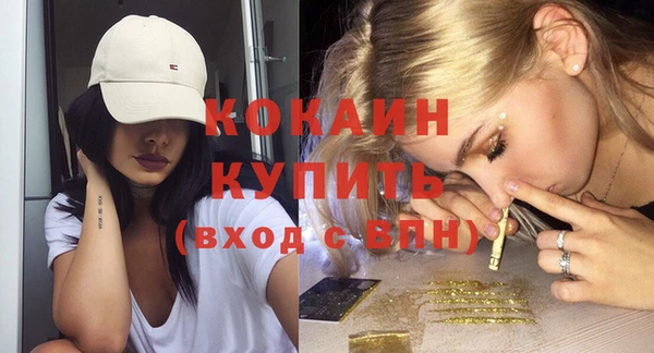 индика Лабытнанги