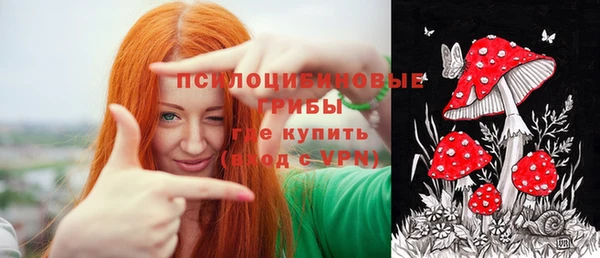 индика Лабытнанги