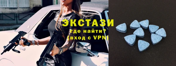 индика Лабытнанги