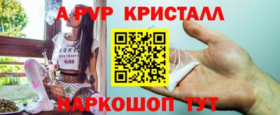 стафф Волгодонск