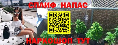 стафф Волгодонск