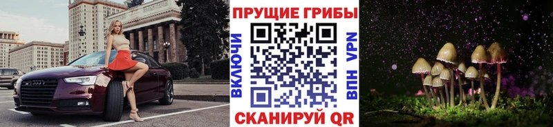 Псилоцибиновые грибы Cubensis  гидра ССЫЛКА  Нижнеудинск 