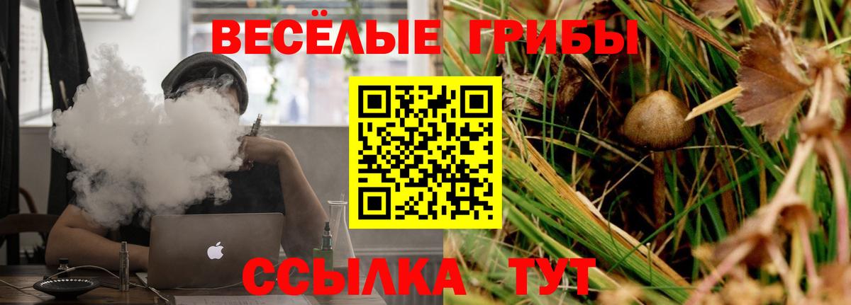 Галлюциногенные грибы ЛСД Нижнеудинск