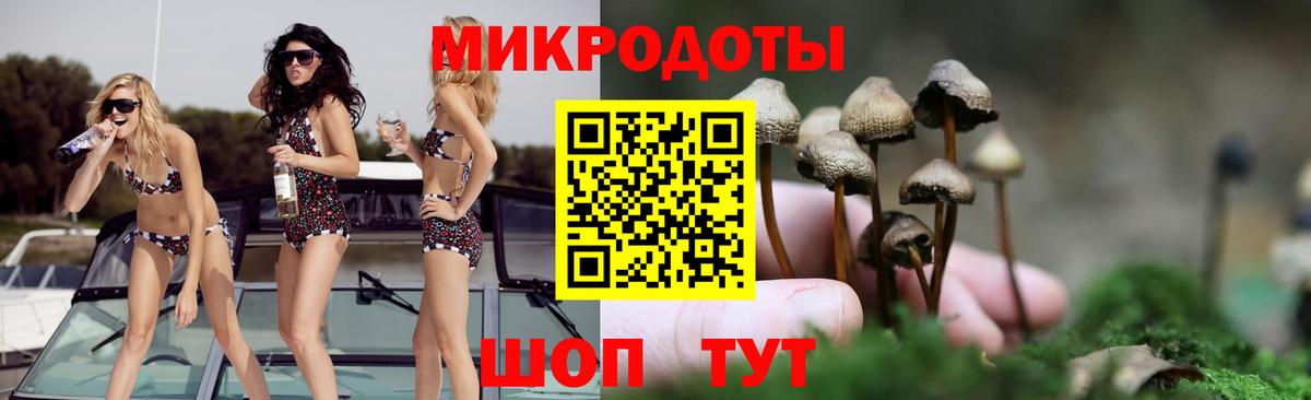 Псилоцибиновые грибы Cubensis  Нижнеудинск  Галлюциногенные грибы GOLDEN TEACHER 